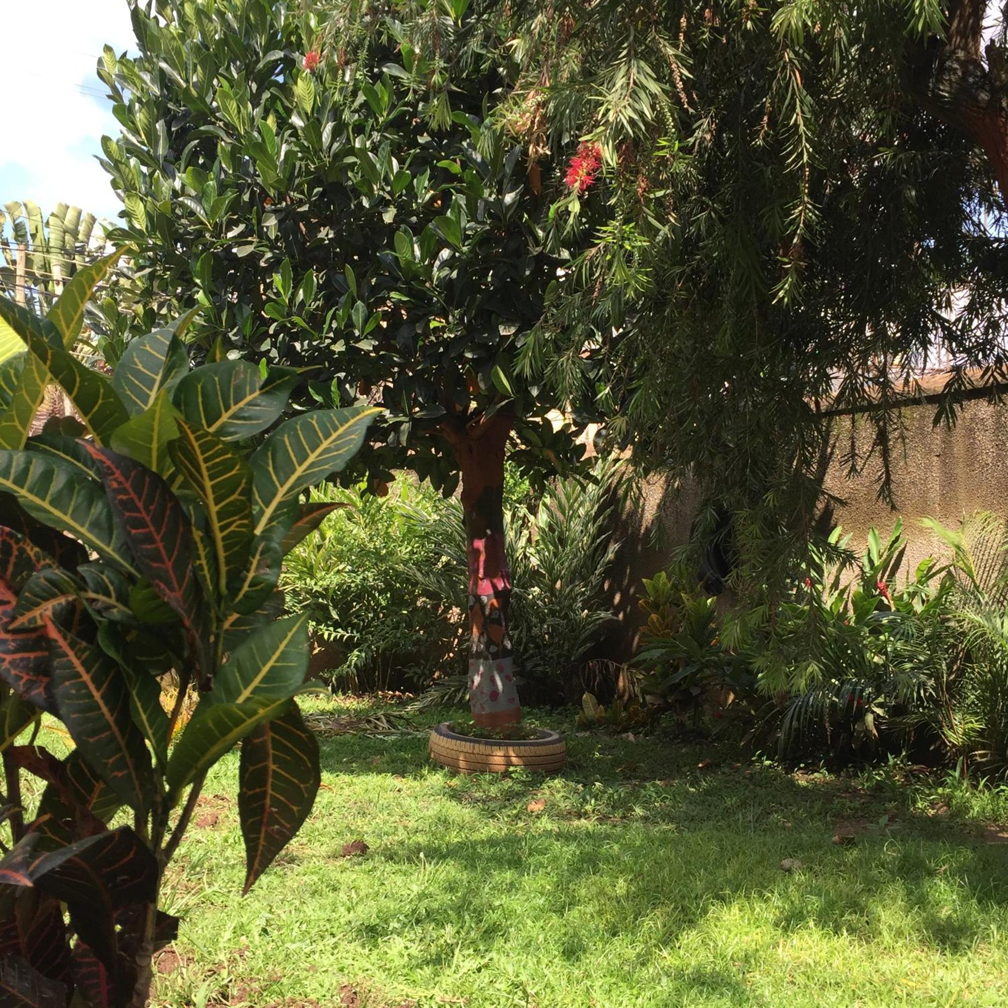 Tgs Homestay كامبالا المظهر الخارجي الصورة